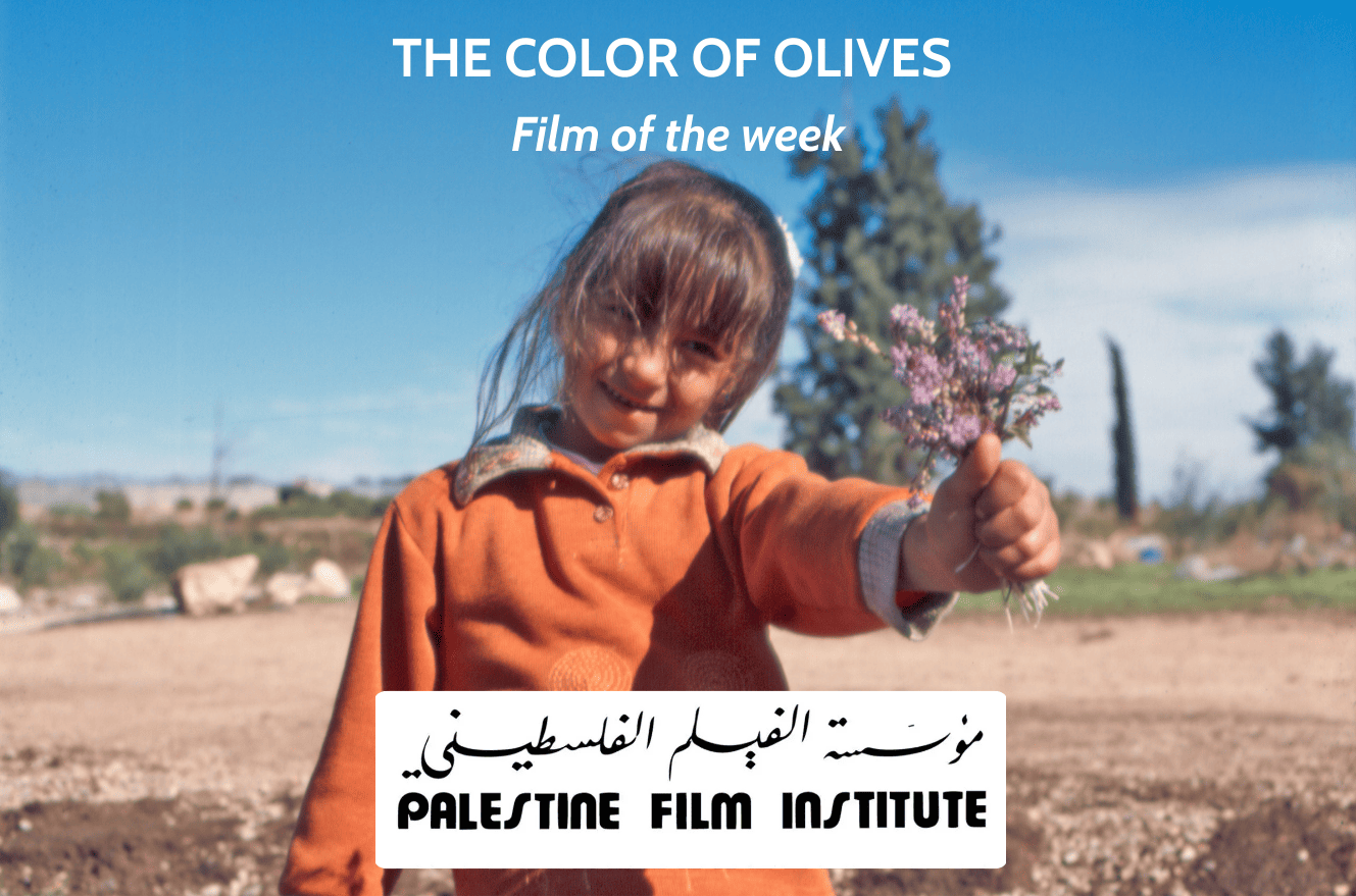 THE COLOR OF OLIVES (1) (1)
